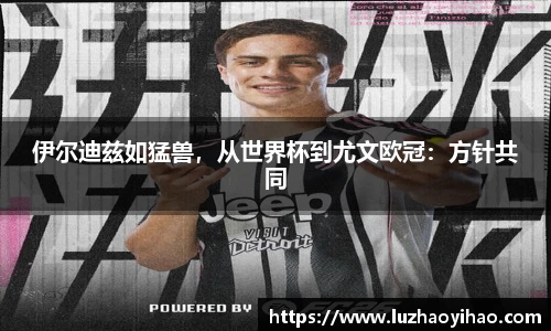 伊尔迪兹如猛兽，从世界杯到尤文欧冠：方针共同